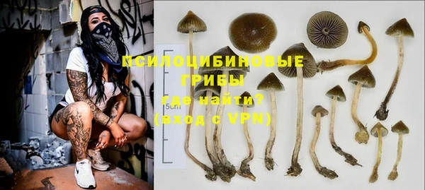 a pvp Россошь