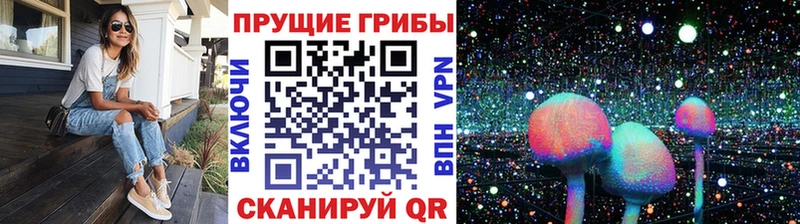Галлюциногенные грибы Cubensis  Купить  Заозёрск 
