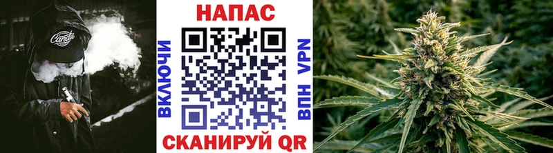МАРИХУАНА план  Купить  Заозёрск 